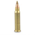 Click here to go to "17hmr Firearms"